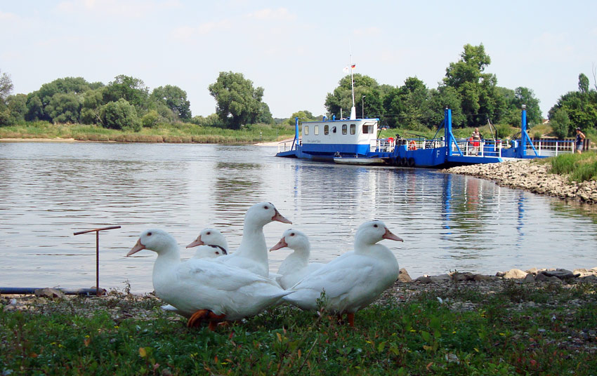 Barby an der Elbe