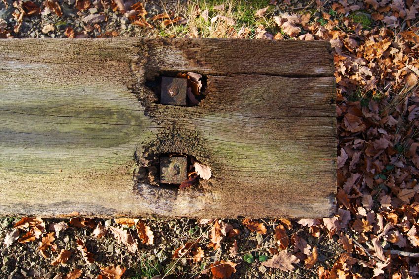 2.11.2014, Wernigerode