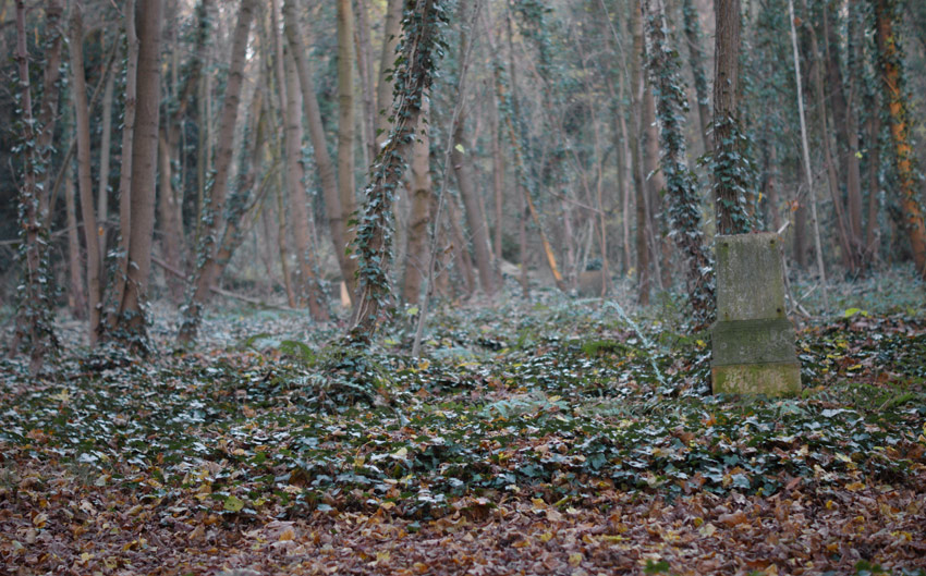 friedhof nordend