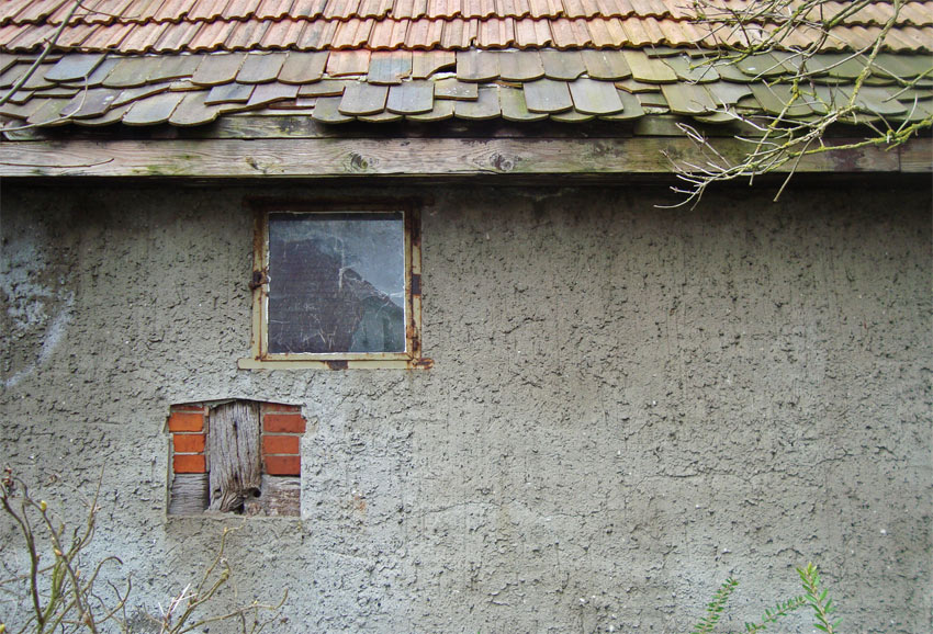 schaprode
