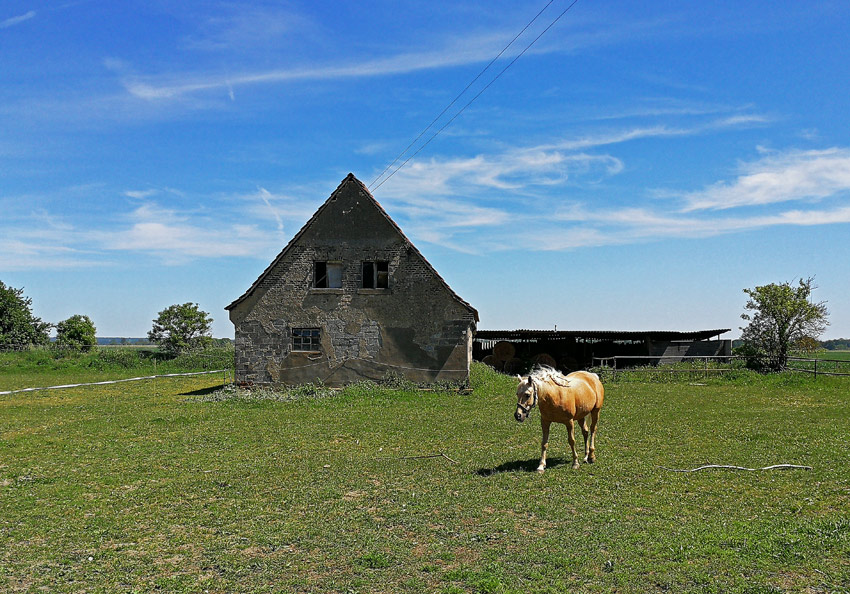 kunst-loose-tage, oderbruch