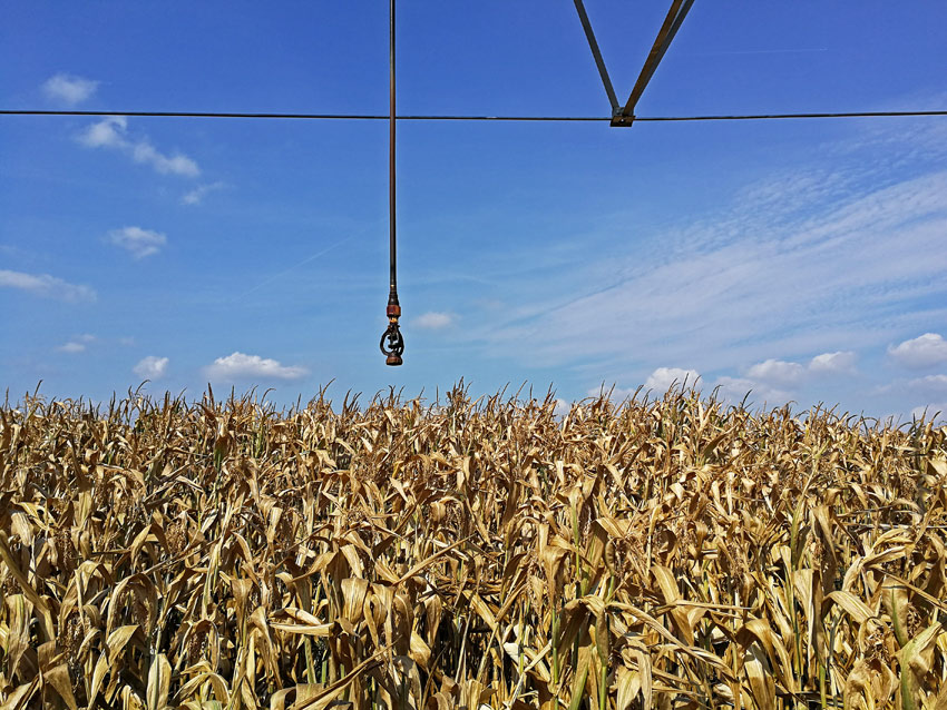 19.8.2018, fürstenwerder, uckermark