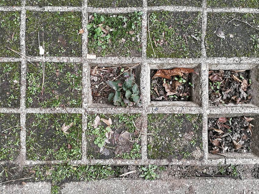 31.12.2019 otto-suhr-allee