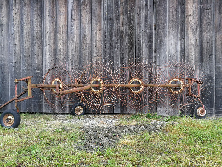 26.7.2020, ohlstadt
