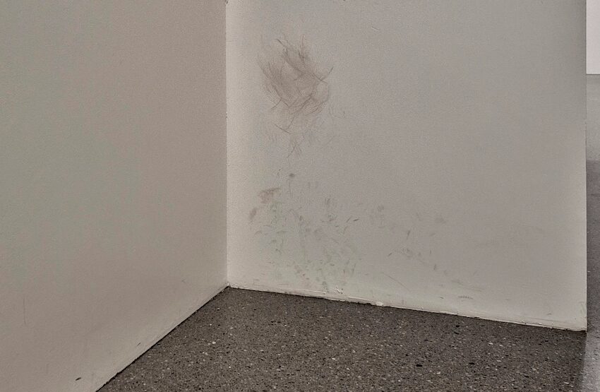 1.3.2025, saarlandmuseum saarbrücken