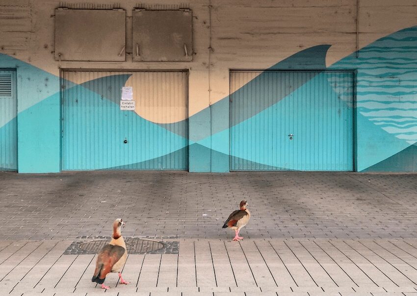 1.3.2025, saarbrücken