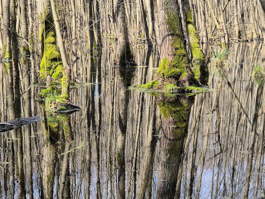 1.4.2024, bei krummensee
