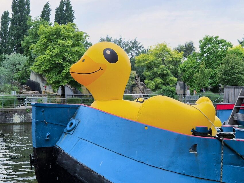 14.6.2025, amsterdam