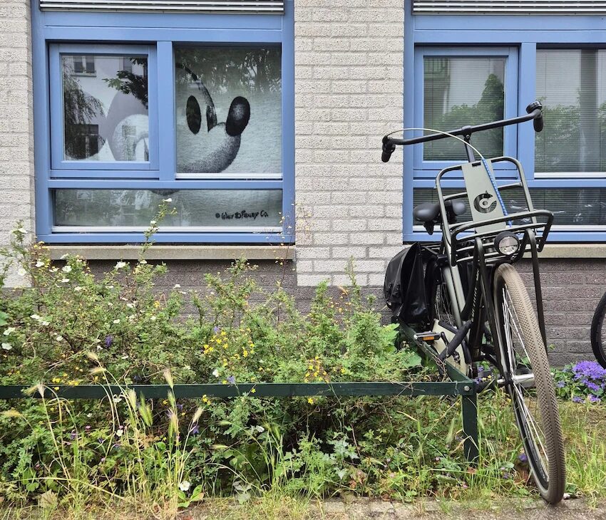 14.6.2025, amsterdam