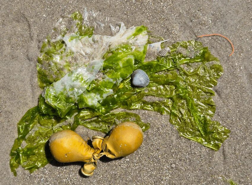 17. - 23.7.2025, vlieland