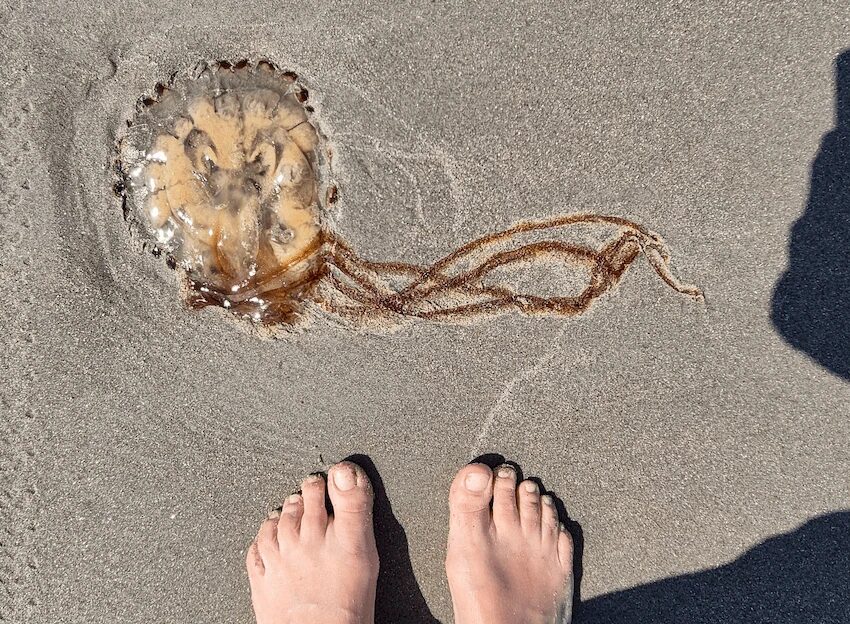 17. - 23.7.2025, vlieland