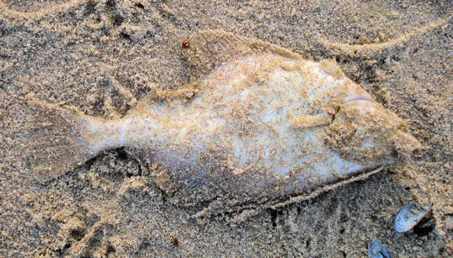 kaputt