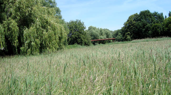 Neuenhagen