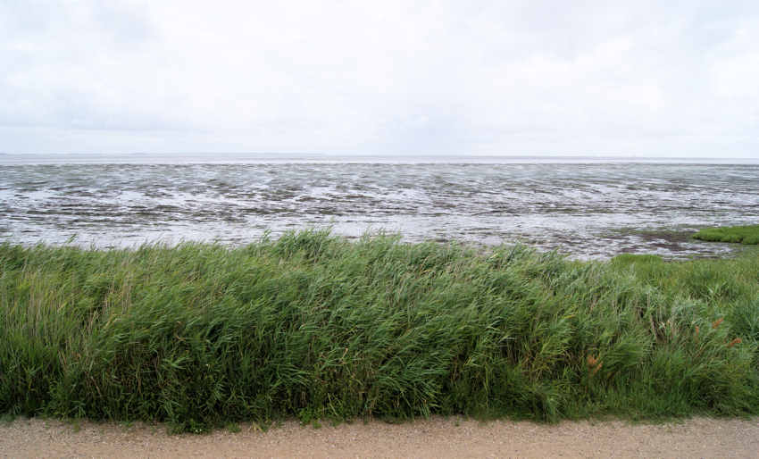 nach Föhr kucken