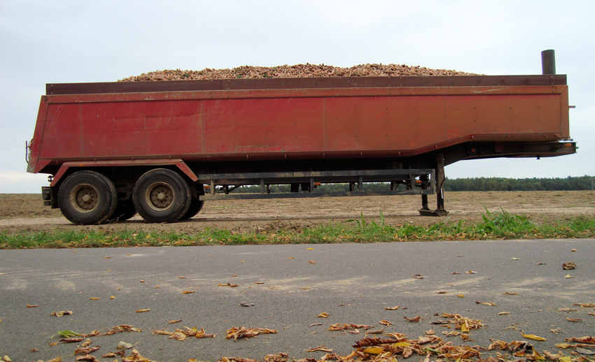 Vorrat