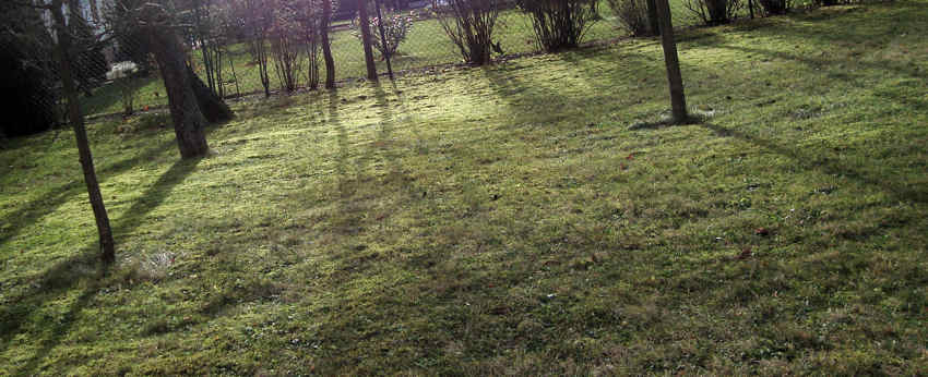 Frühlingsduft
