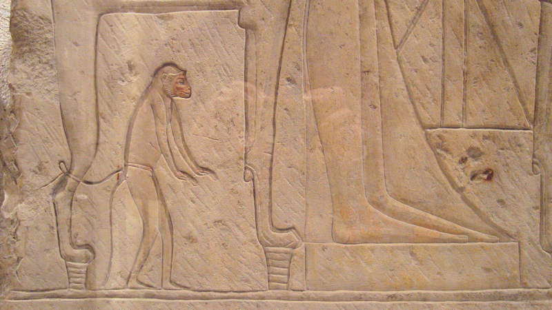 Haustierhaltung im Alten Ägypten
