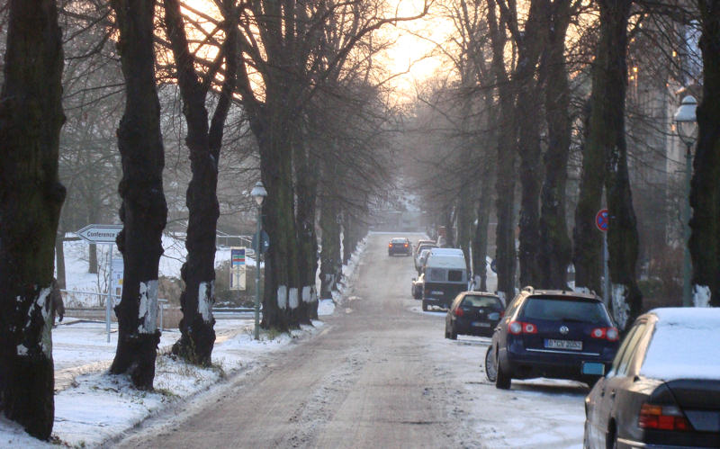 Dahlem