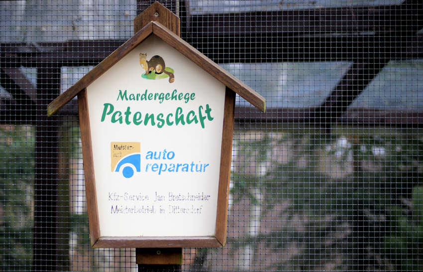 Marketing pur