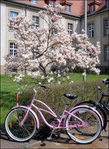 Frühlingskitsch